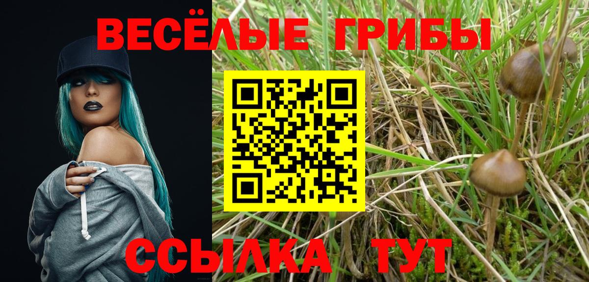 Саров  дарнет шоп  Вход с VPN  Галлюциногенные грибы мухоморы 